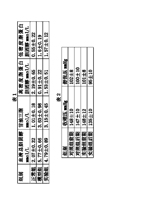 Sanvitalia procumbens herbal tea and preparation method thereof