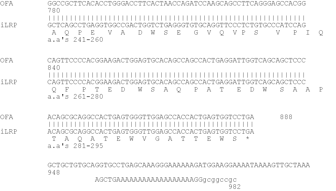 Cancer vaccines containing epitopes of oncofetal antigen