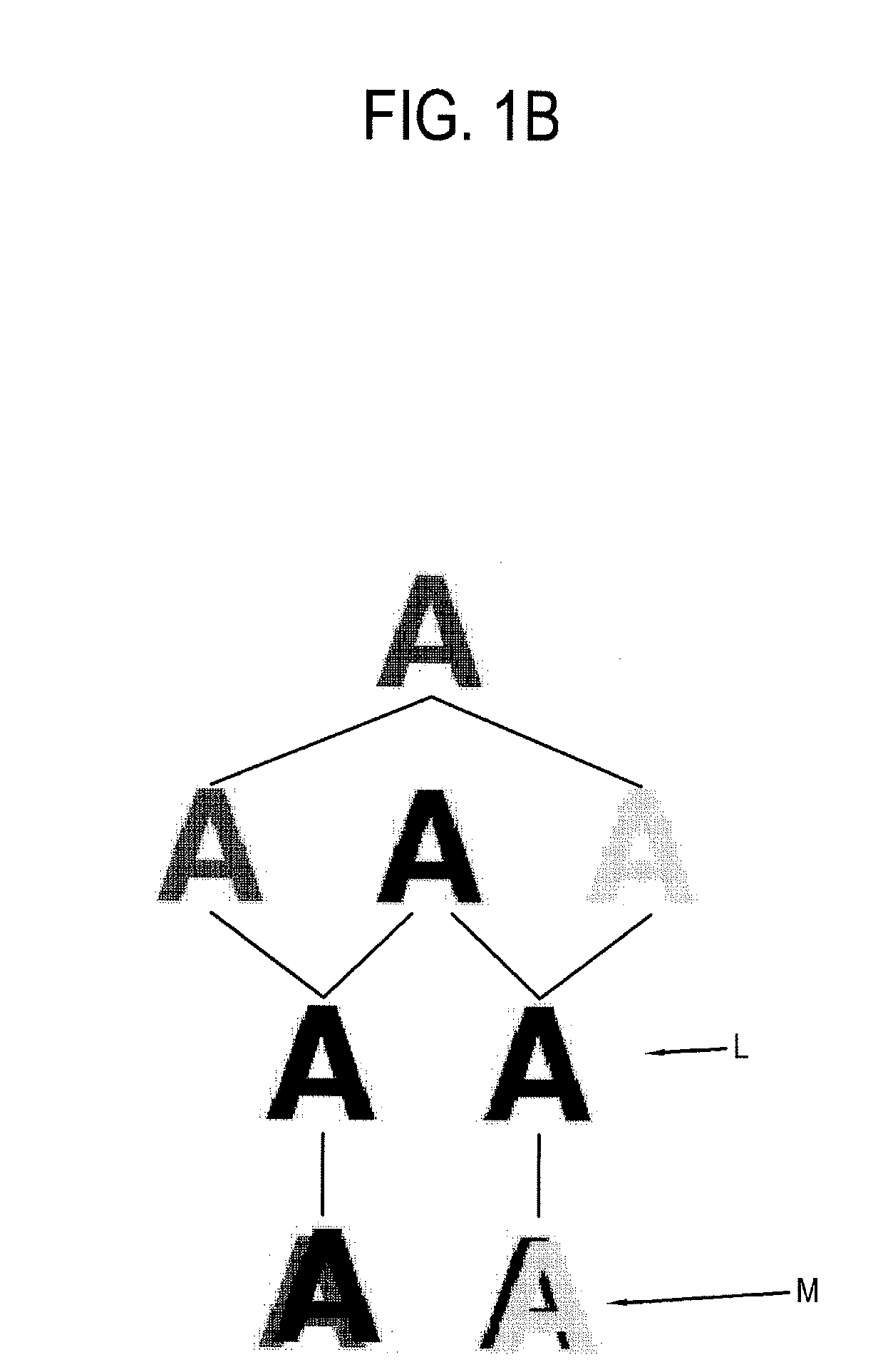 Developing-transferring module and image forming apparatus having the same