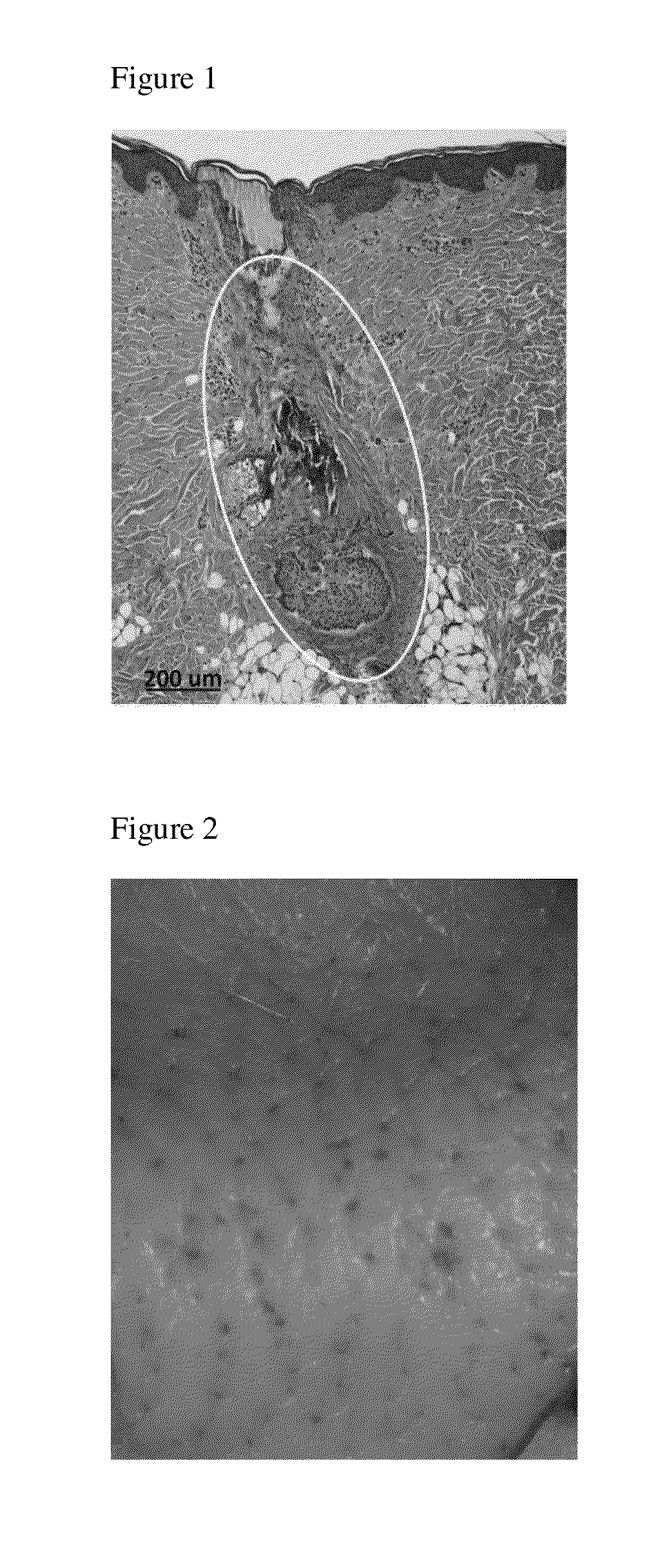 Compositions and methods comprising energy absorbing materials for follicular delivery
