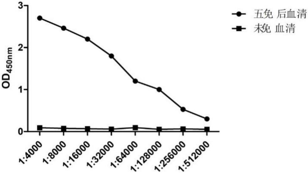 A detection kit for porcine transmissible gastroenteritis virus antibody