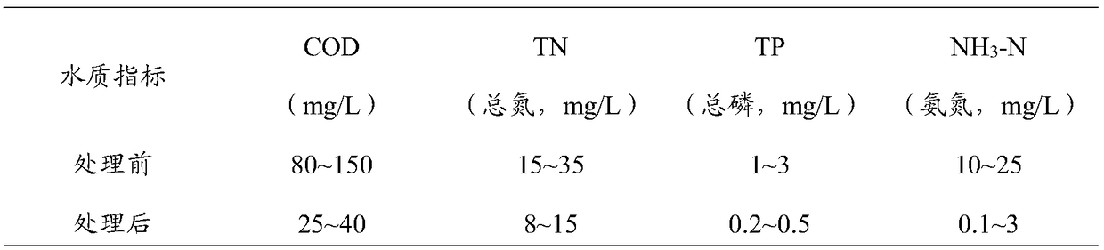 Adjustable biological membrane-activated sludge sewage treatment method and adjustable biological membrane-activated sludge sewage treatment device