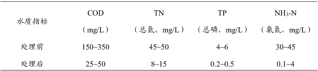 Adjustable biological membrane-activated sludge sewage treatment method and adjustable biological membrane-activated sludge sewage treatment device