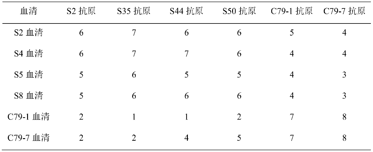 A kind of pullorum agglutinating antigen and preparation method thereof