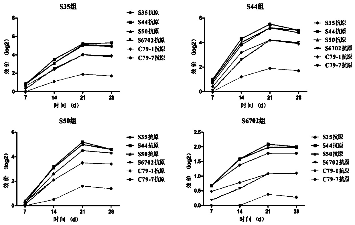 A kind of pullorum agglutinating antigen and preparation method thereof