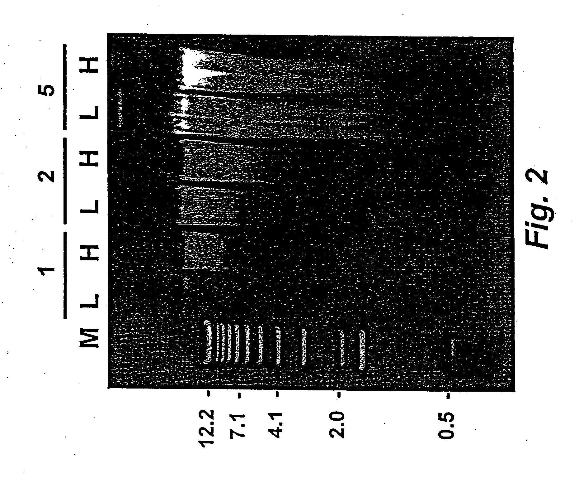 DNA sequence detection of nucleated red blood cells