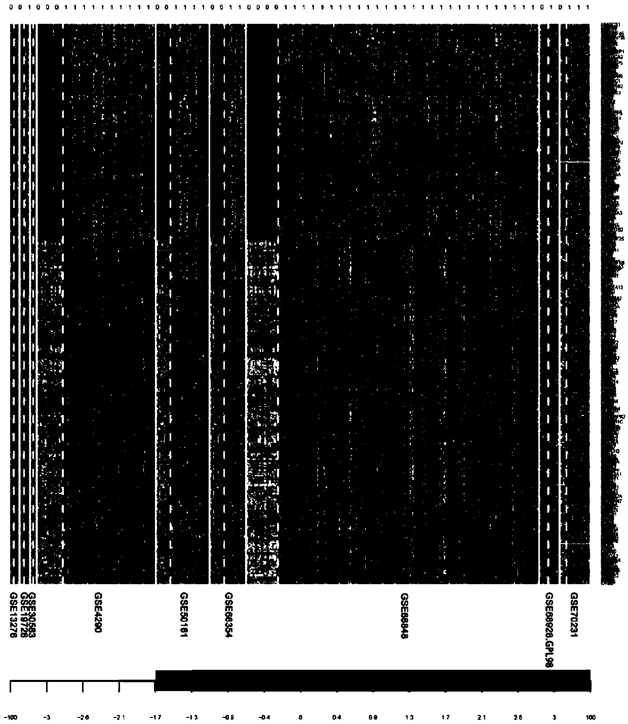 Glioblastoma differential diagnosis and glioma survival prognosis typing method