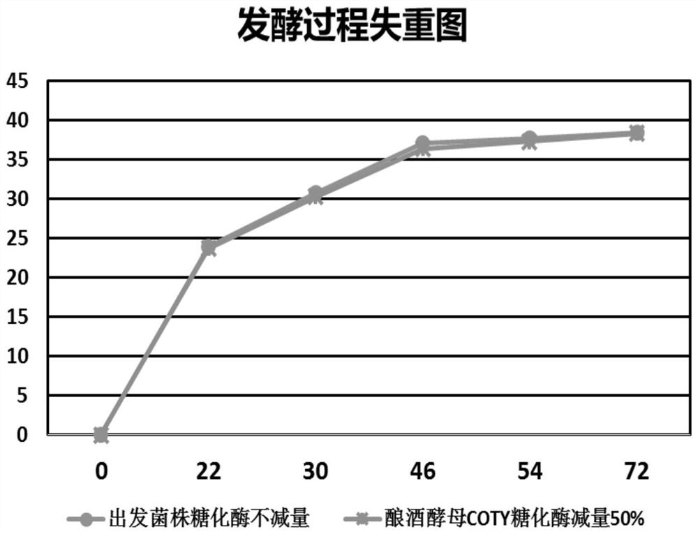 A strain of Saccharomyces cerevisiae and its application