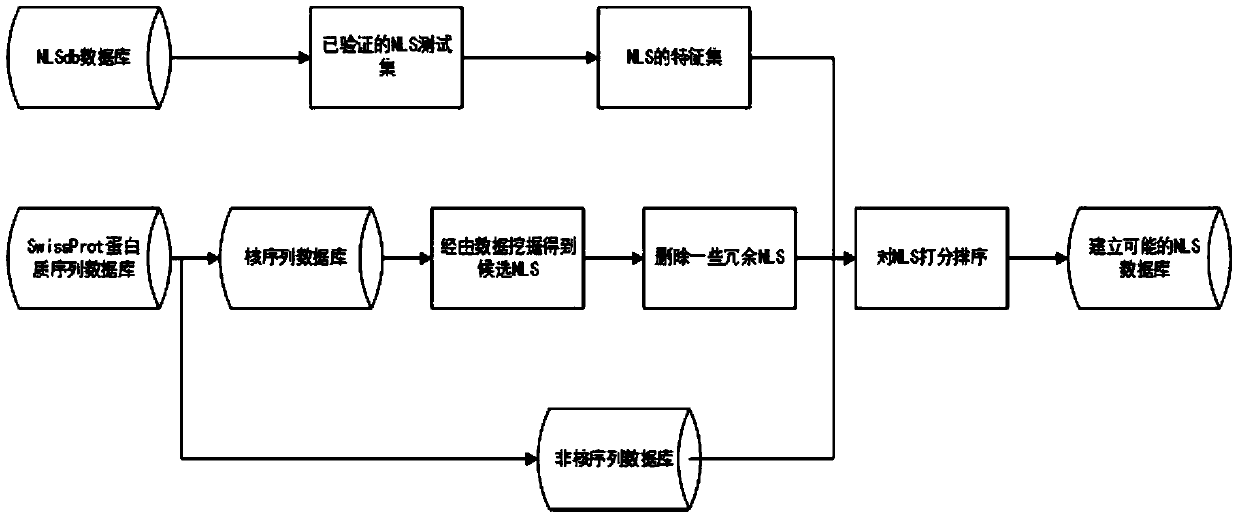 Nuclear localization signal prediction algorithm based on dual-recommendation system of frequent mode and machine learning