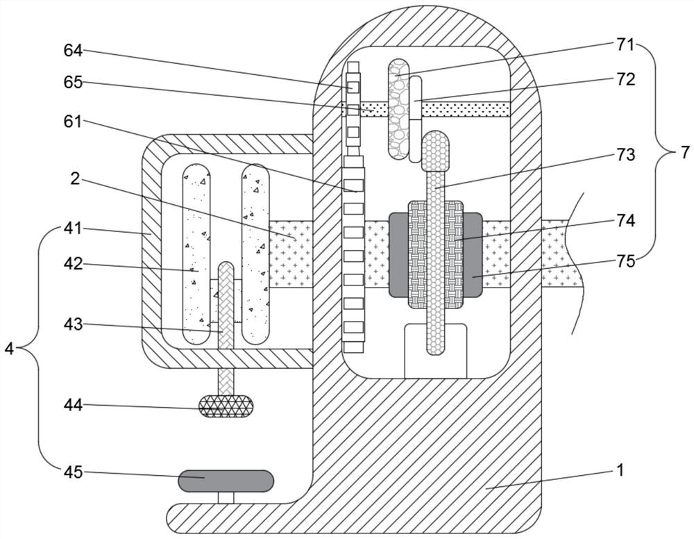 Leather peening device for leather shoe processing