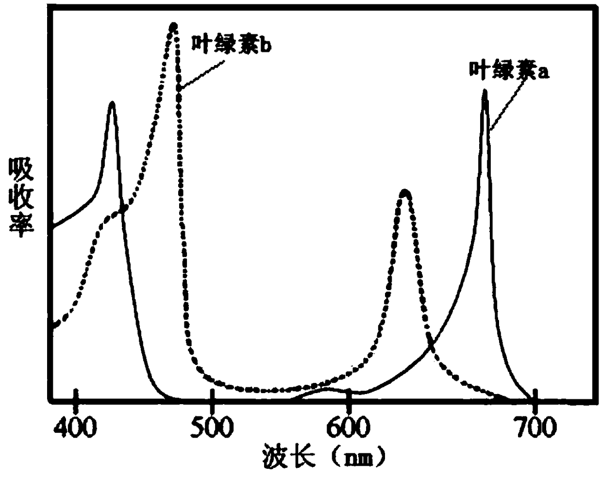 Fluorescent powder conversion type filament lamp for plant growth