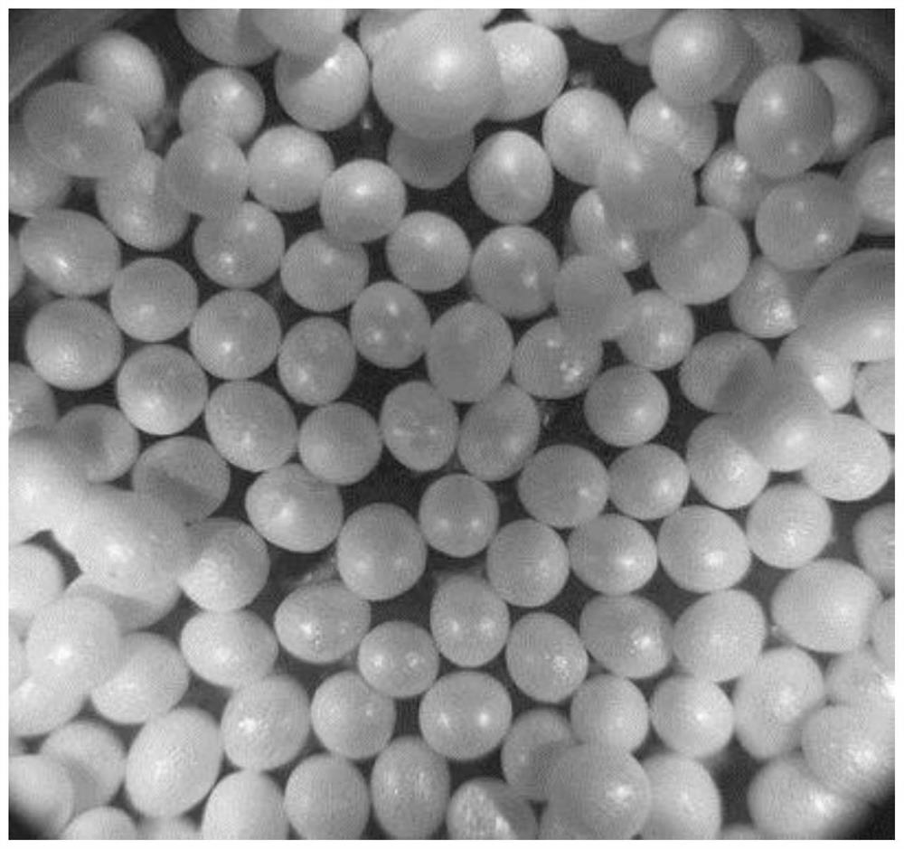 Preparation method of PET (Polyethylene Terephthalate) foamed beads for molding