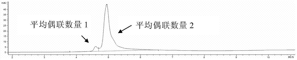 HER2-resisting antibody-medicine conjugate and applications thereof