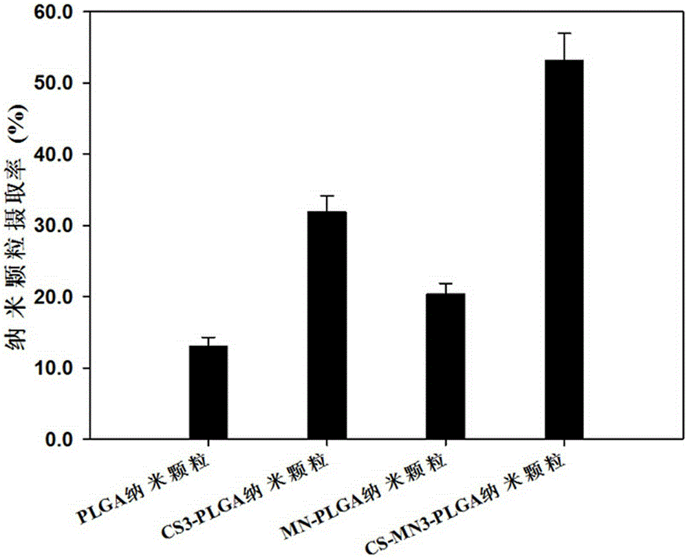 Nanoparticle vaccine preparation containing recombinant hepatitis B surface antigen and preparation method thereof