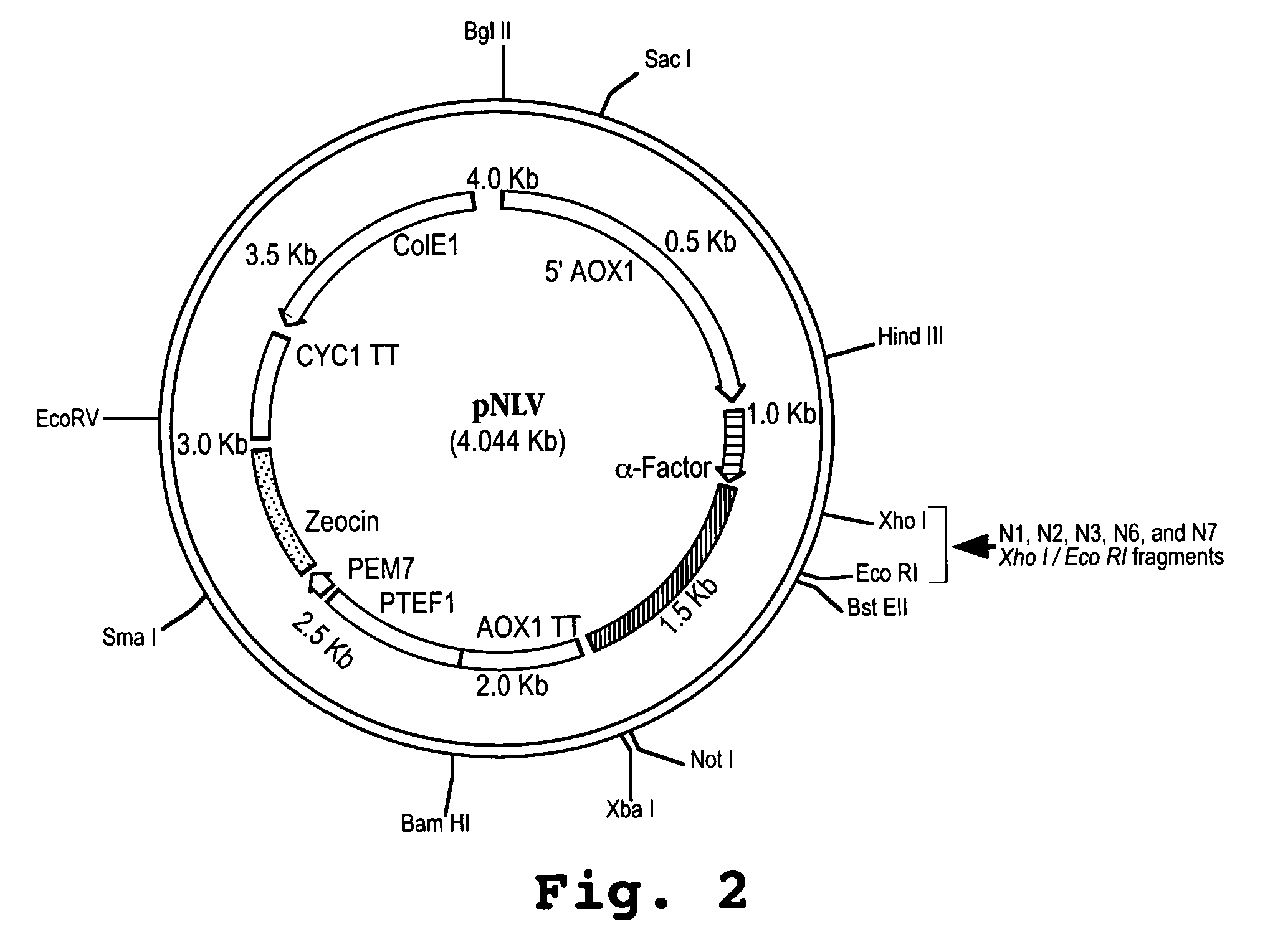 Low-toxicity, long-circulating human interferon-alpha PEGylated mutants