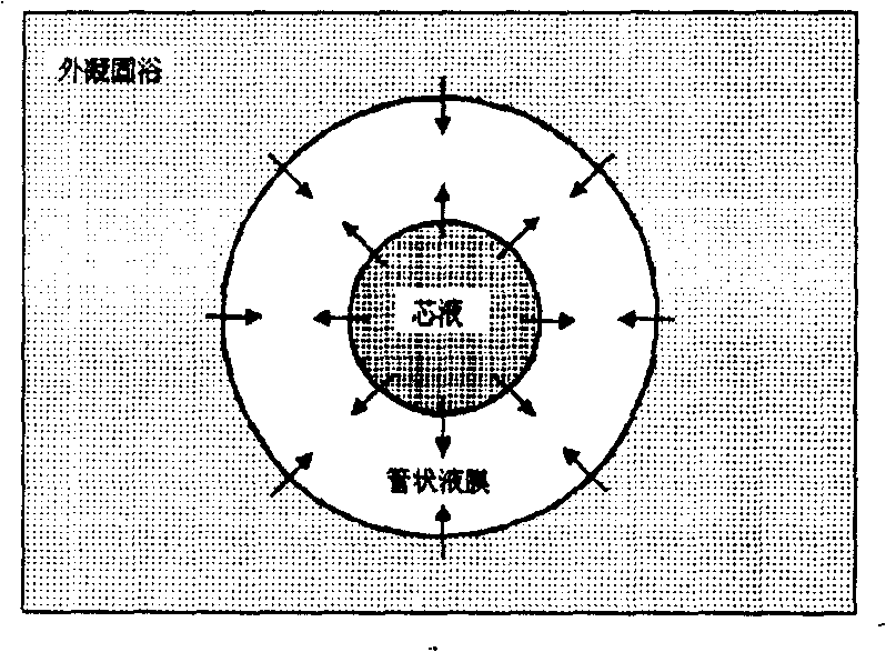 Porous polyvinylidene blending porous membrane and process for producing same