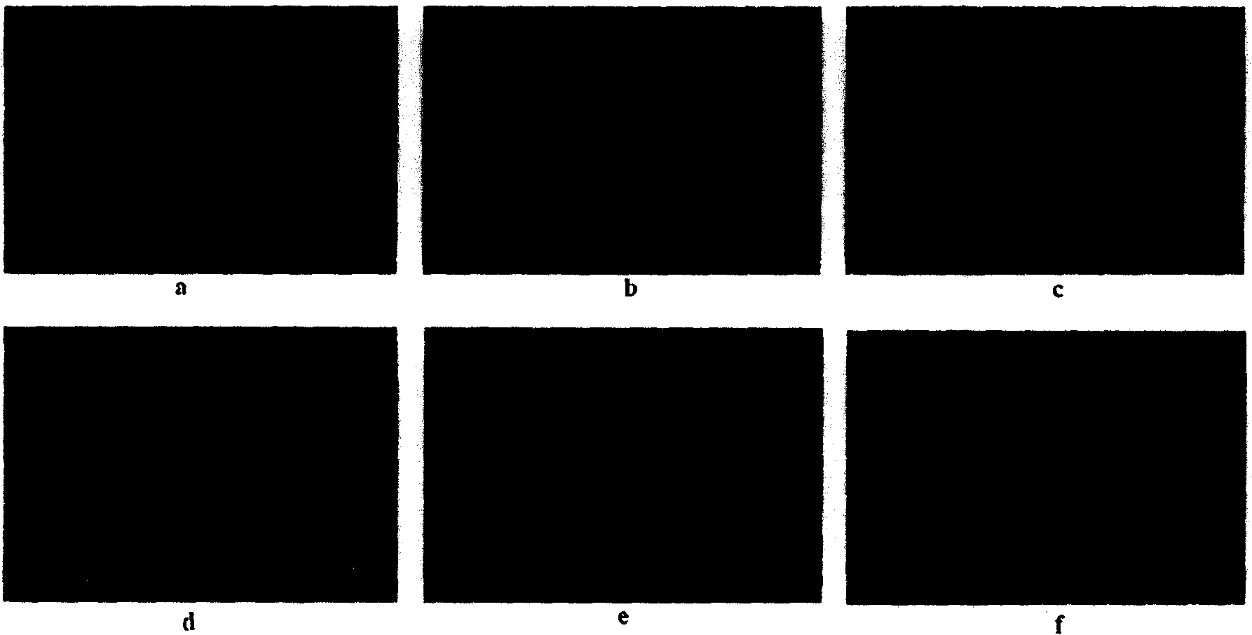 Porous polyvinylidene blending porous membrane and process for producing same