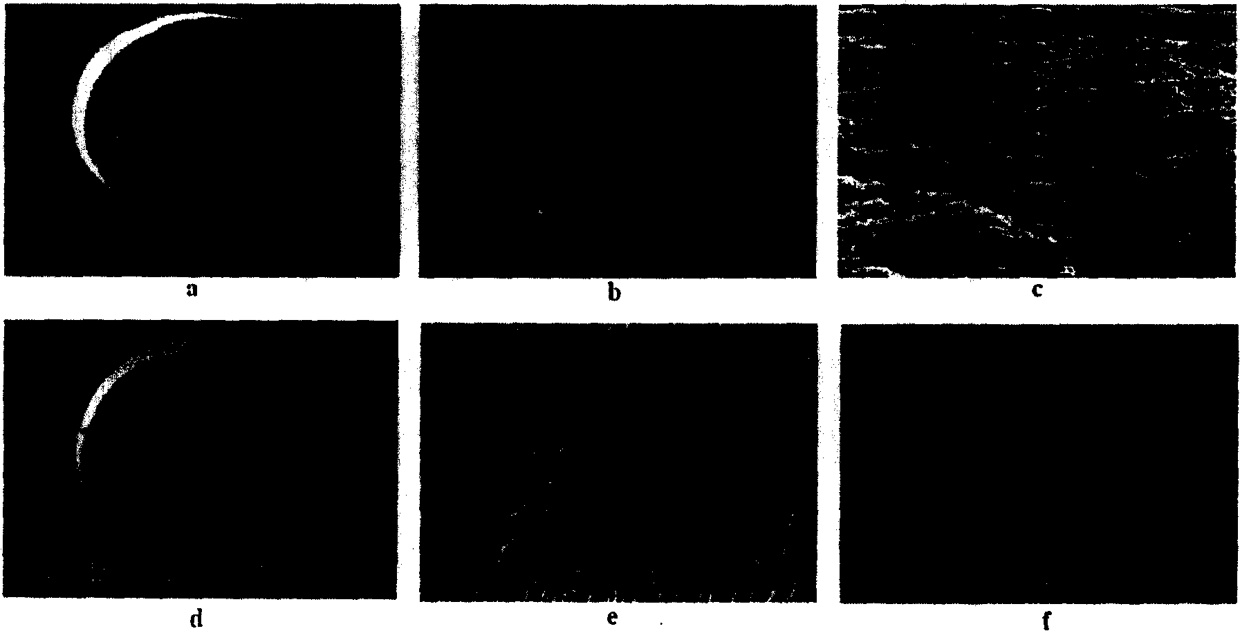 Porous polyvinylidene blending porous membrane and process for producing same