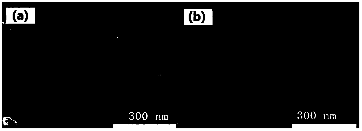 Preparation method of nitrogen-doped porous carbon material, catalyst containing the material and use thereof