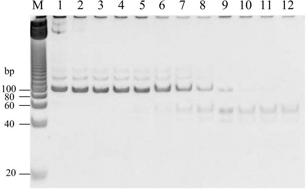 Methods for detecting pathogen in coldwater fish