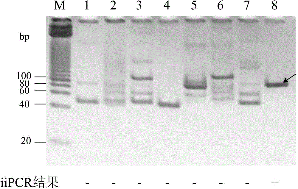 Methods for detecting pathogen in coldwater fish