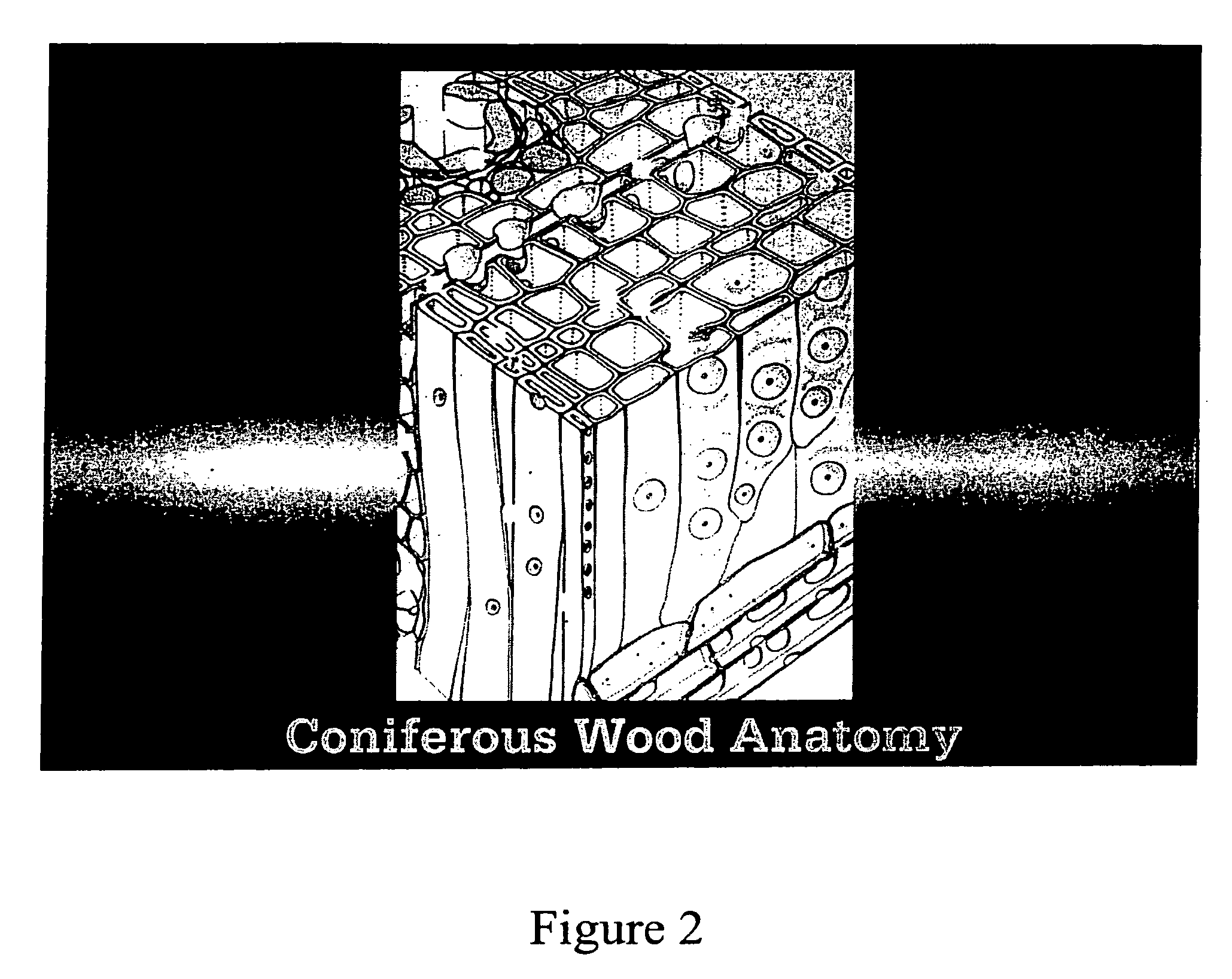 Micronized wood preservative formulations