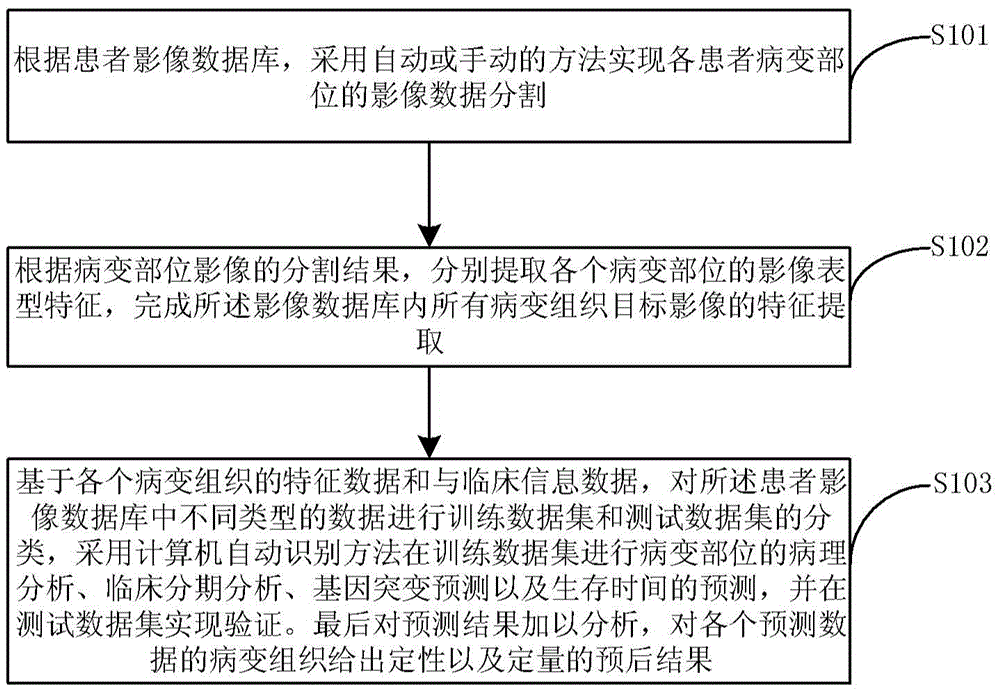 Image omics based lesion tissue auxiliary prognosis system and method