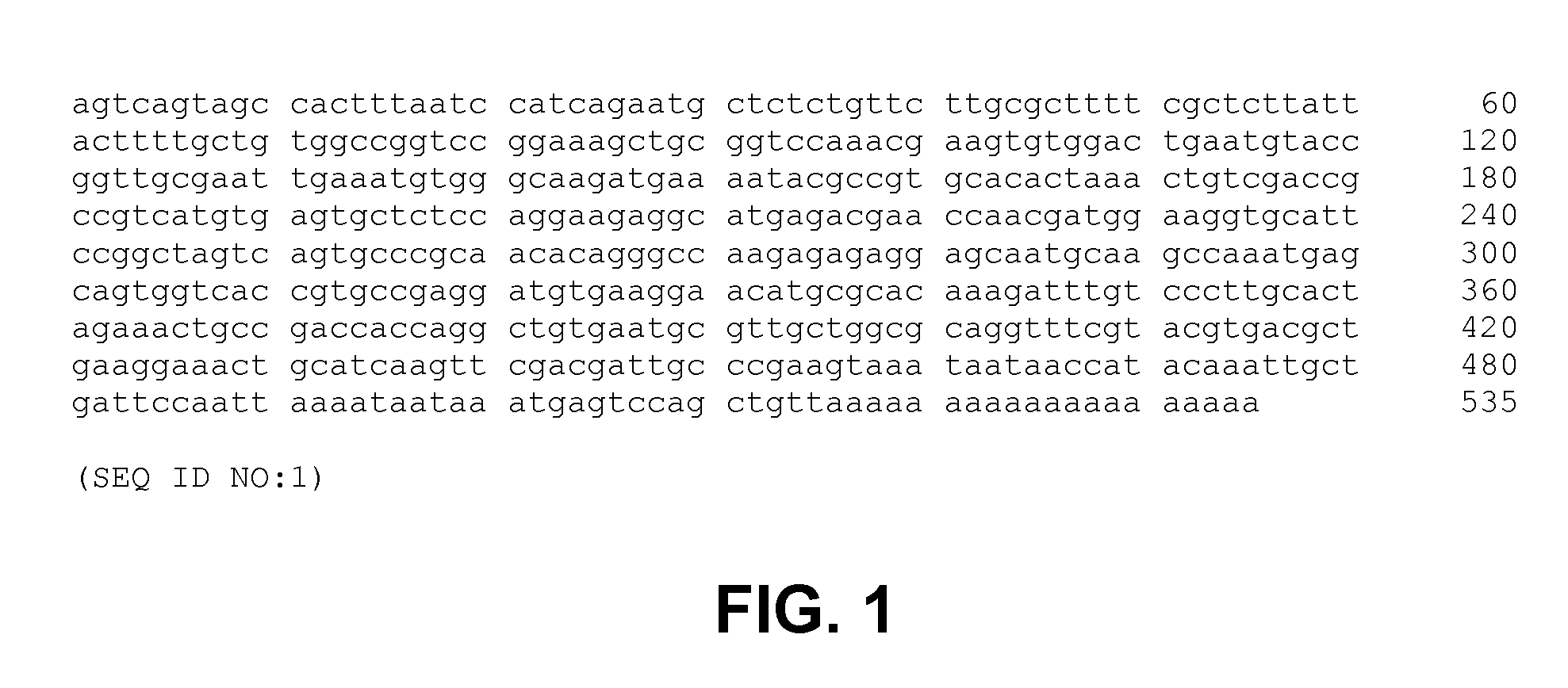 Methods, Devices, Kits and Compositions for Detecting Roundworm