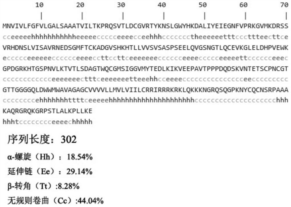 Monoclonal antibody against flounder t cell surface marker molecule cd4-2 and its preparation method and application