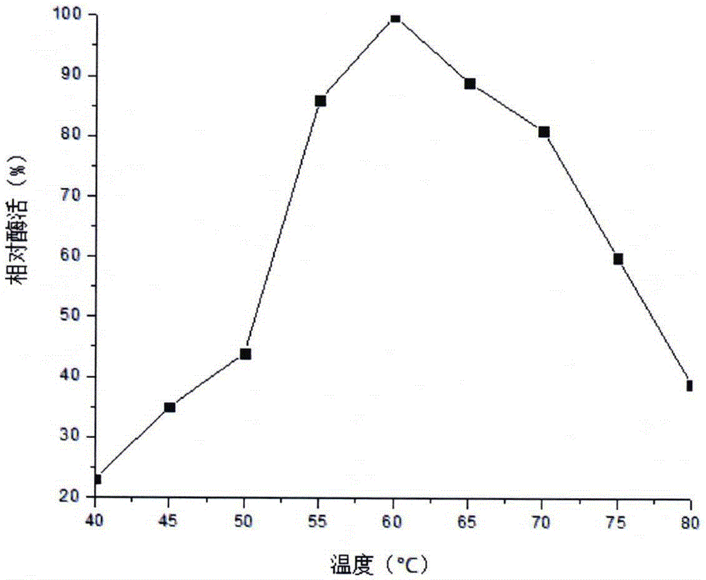 Bacterial strain producing high-temperature-resistant beta-galactosidase and screening method thereof