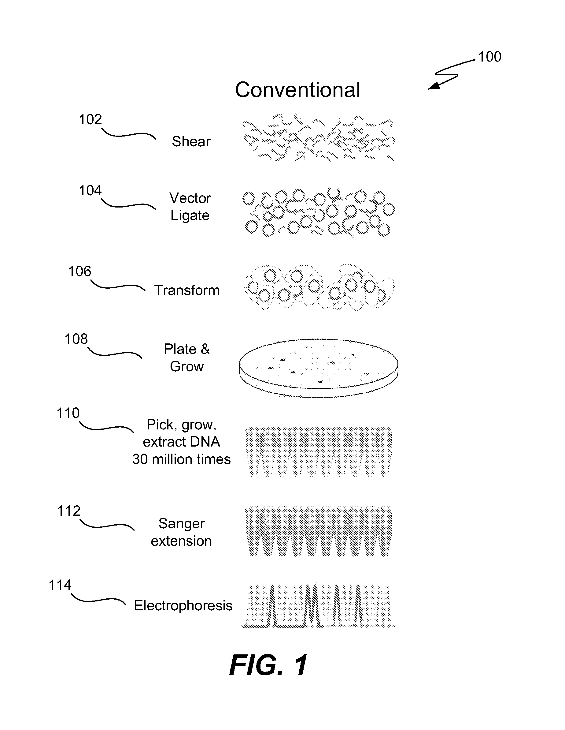 Microfabricated integrated DNA analysis system