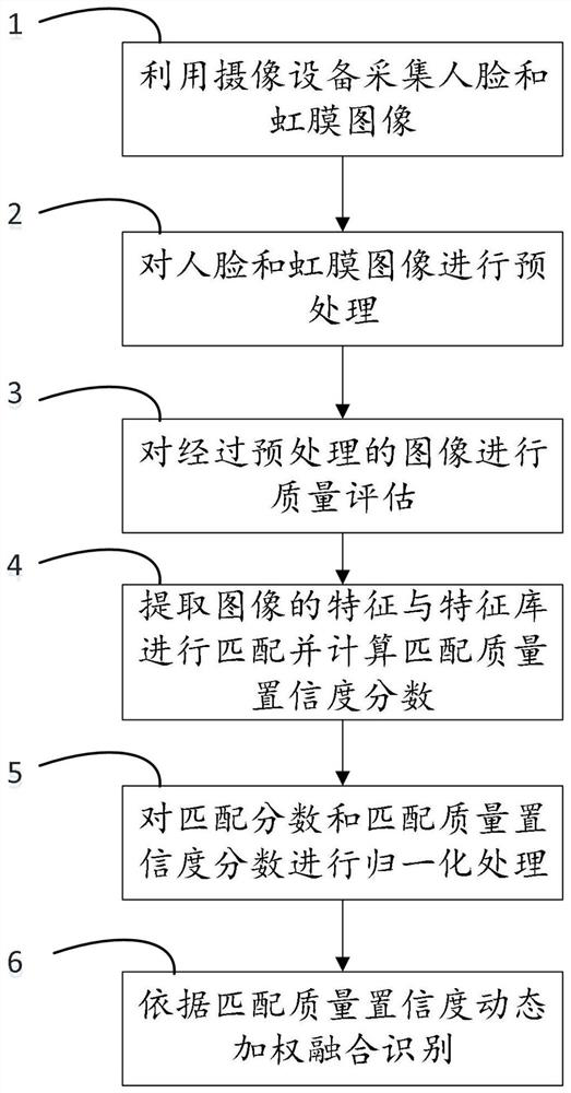 Multi-Biological Feature Fusion Recognition Method Based on Image Quality Assessment