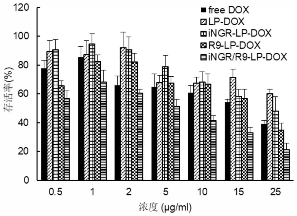 INGR/R9 dual-modified adriamycin targeted liposome and antitumor activity evaluation