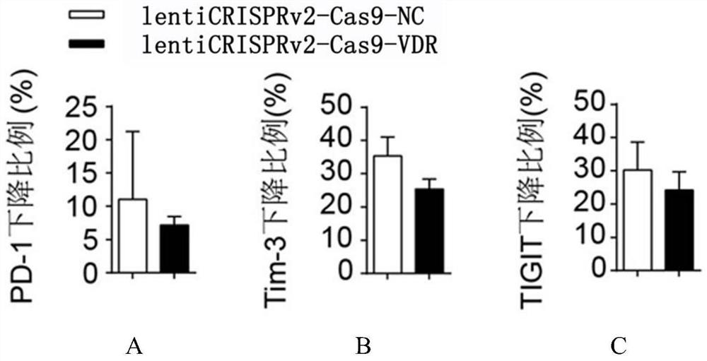 Application of Vitamin D Receptor and Its Ligands in Improving Antitumor Ability of Immune Cells