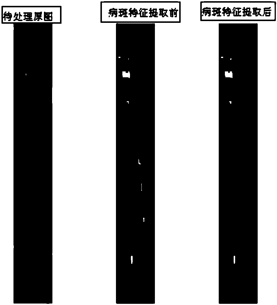 Method for distinguishing rice blast disease in rice based on aerial photographs of farmland