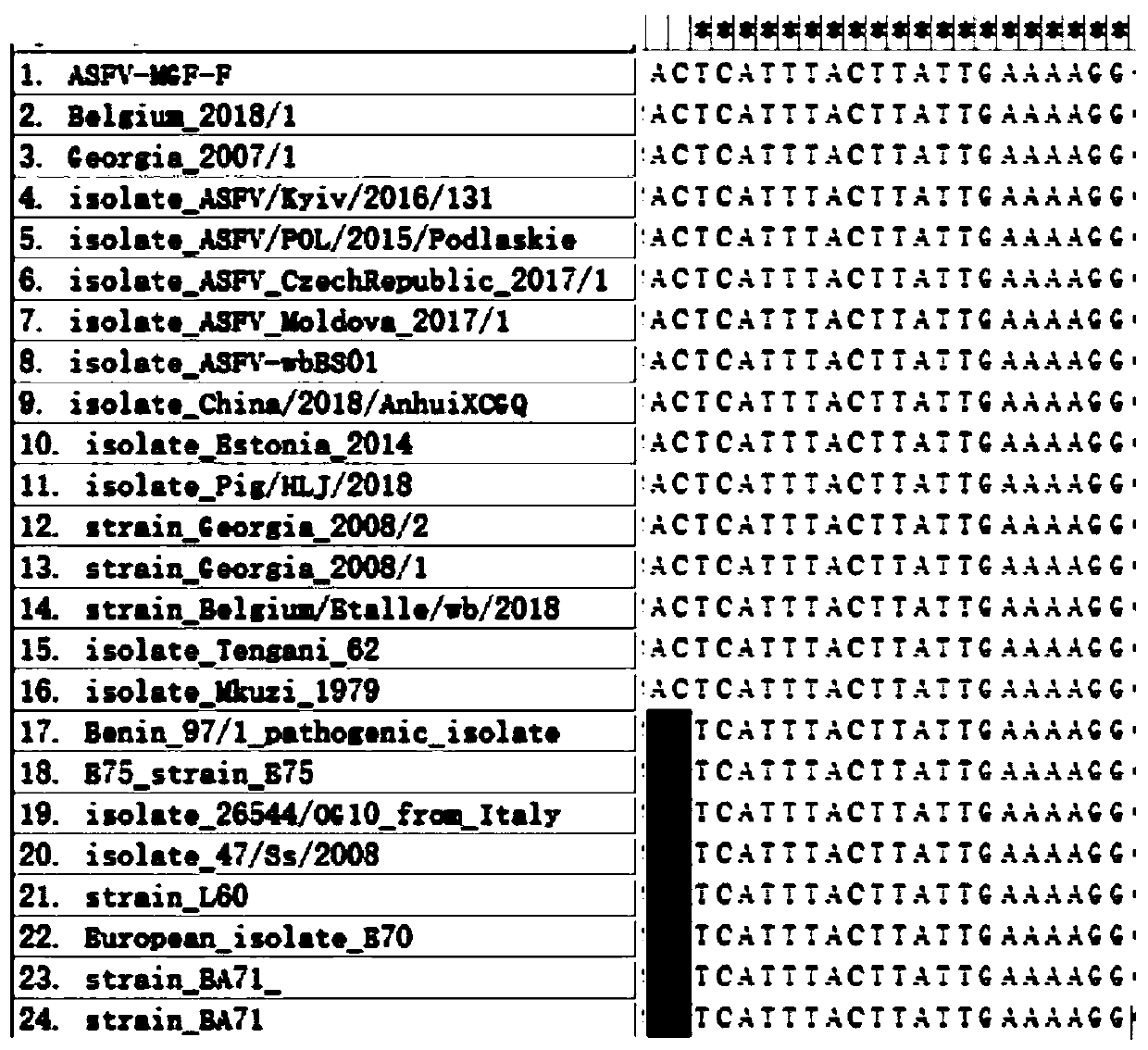 African swine fever virus MGF-505R gene fluorescent PCR detection reagent and reagent kit, and application of reagent kit