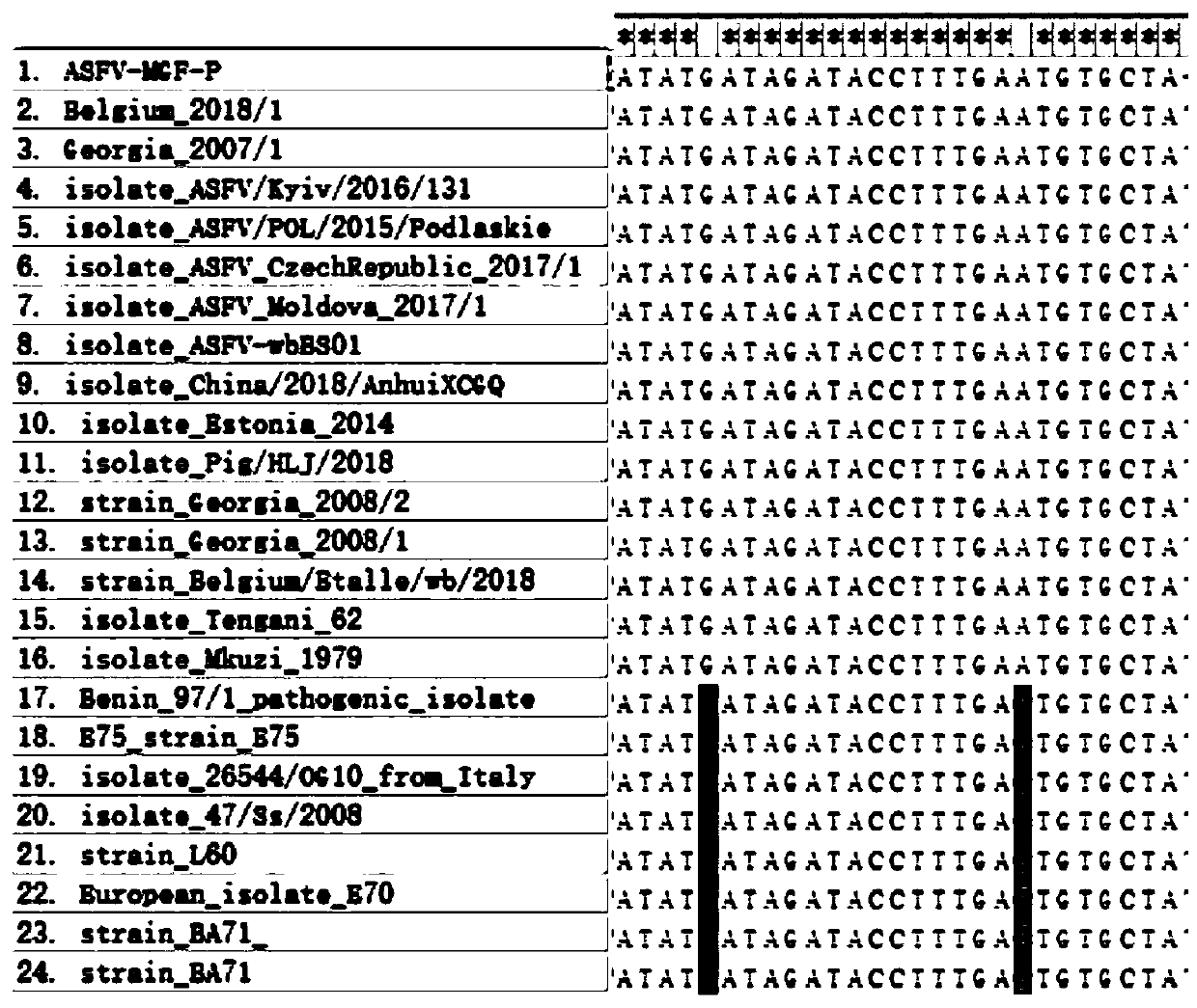 African swine fever virus MGF-505R gene fluorescent PCR detection reagent and reagent kit, and application of reagent kit