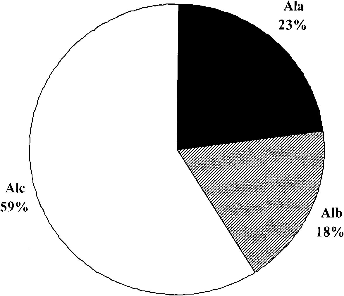 Preparation method of high polymeric polyalumnium sulfa coagulant for strengthening coagulation of drinking water