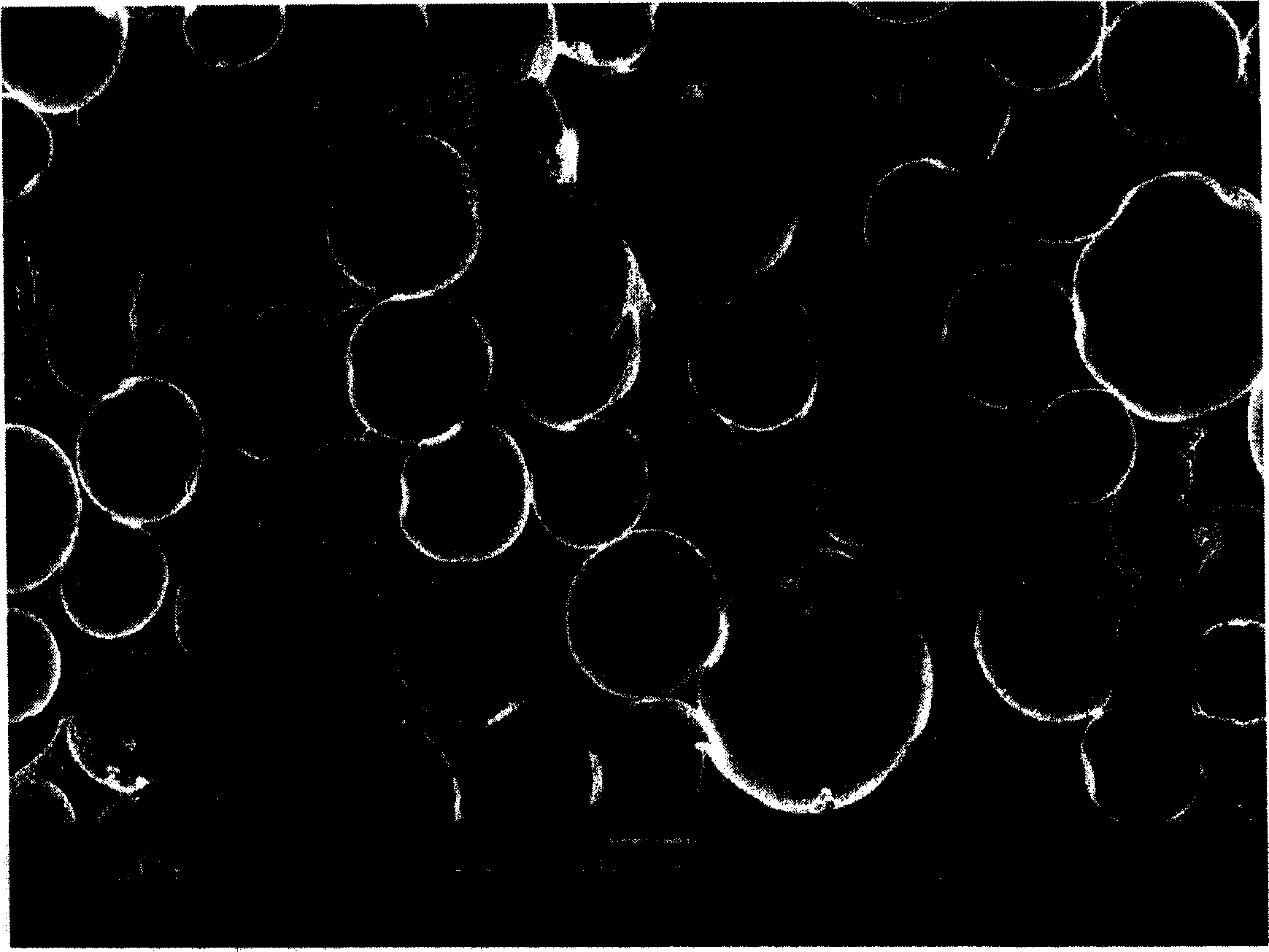 Preparation of expandable graphite filled high dendensity hard polyurethane foamed plastic