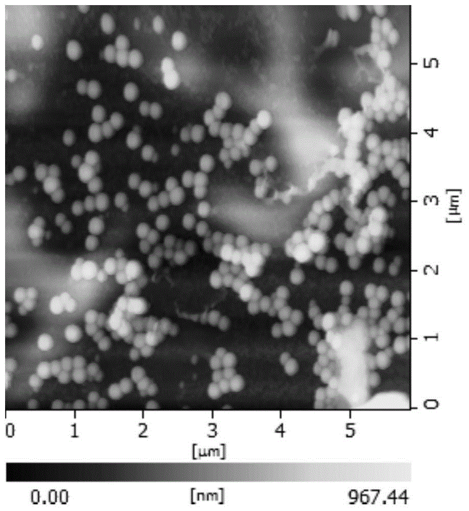 Preparation method of cellular microenvironment pH-sensitive micelle