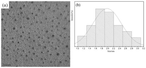 A preparation method and application of rare earth-doped apatite fluorescent nanodots