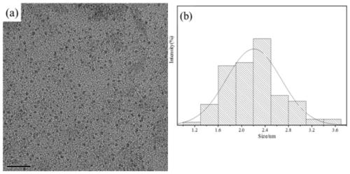 A preparation method and application of rare earth-doped apatite fluorescent nanodots