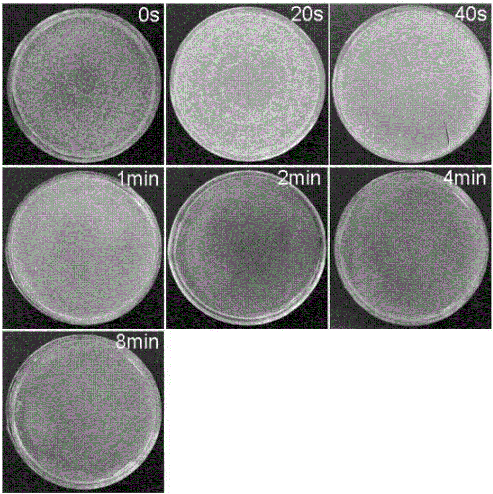 Array needle-board type liquid phase plasma jetting generation apparatus