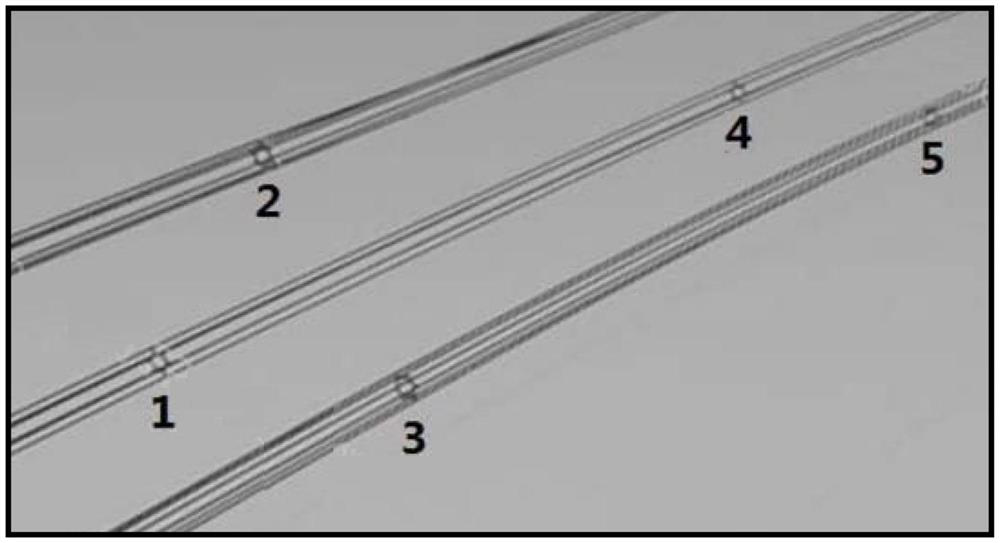 High-voltage transmission line swing identification method based on video image self-discrimination