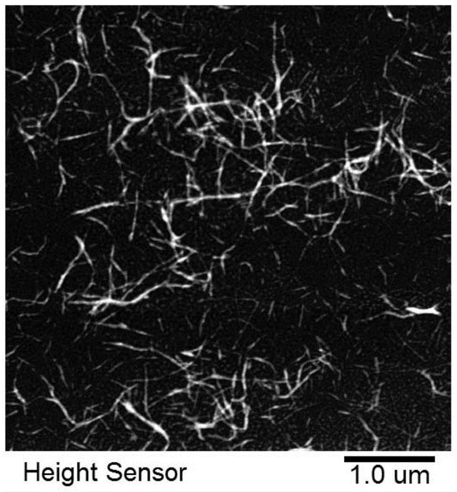 Functional self-assembled nano-peptide hydrogels