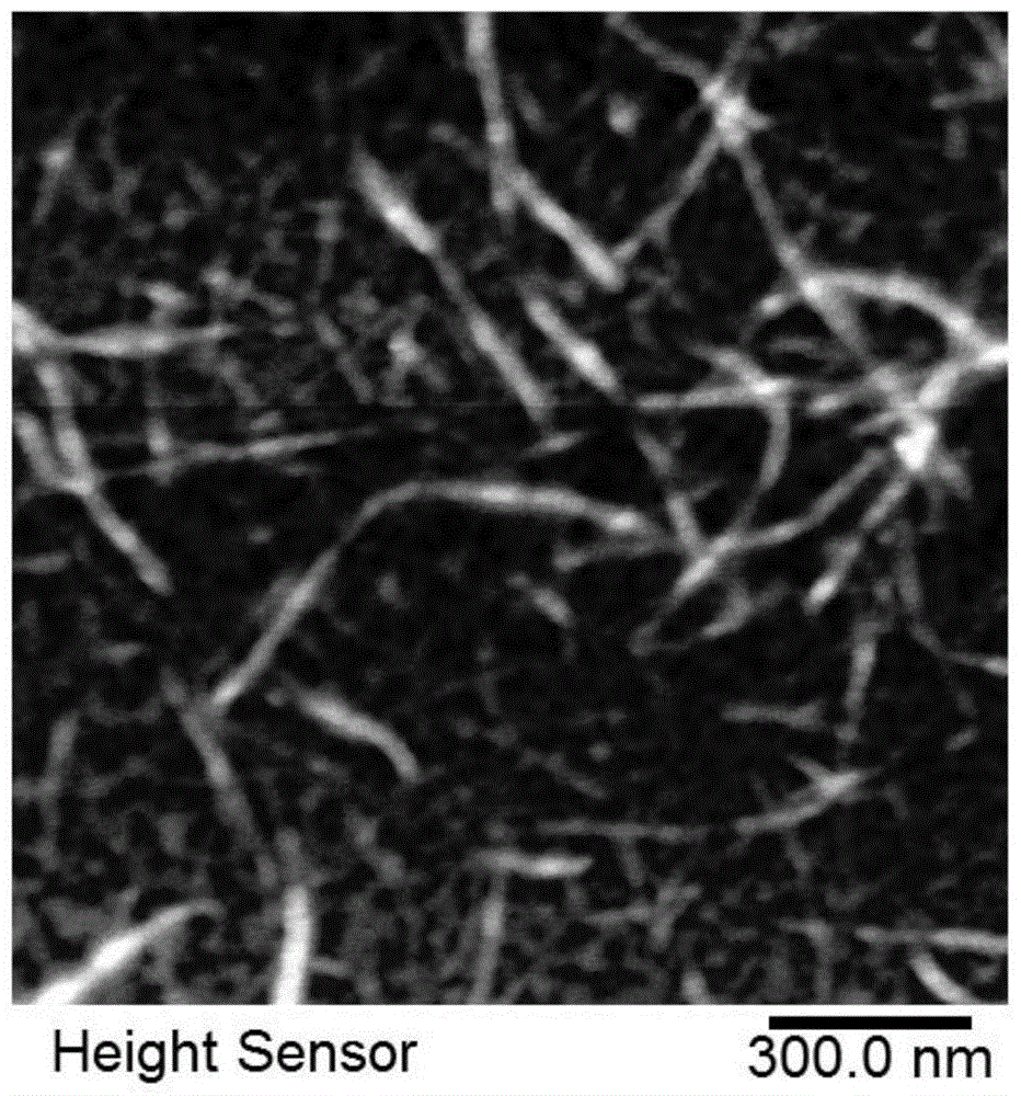 Functional self-assembled nano-peptide hydrogels