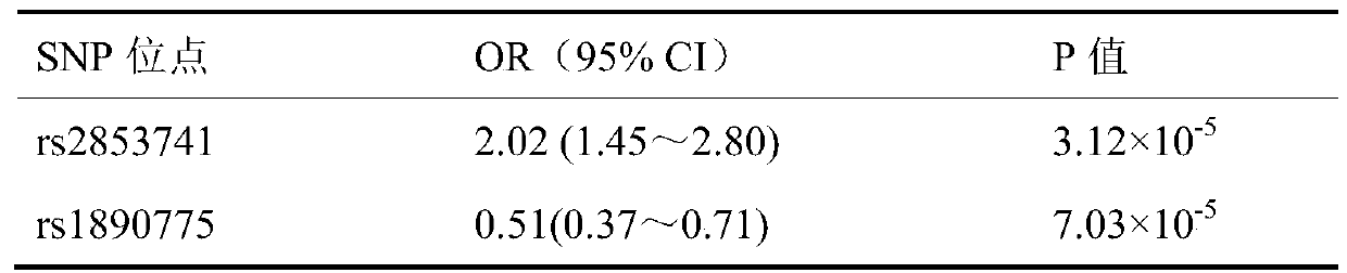 SNP markers related to hand-foot syndrome and application thereof