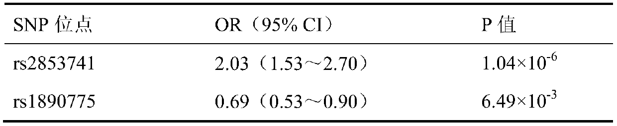 SNP markers related to hand-foot syndrome and application thereof