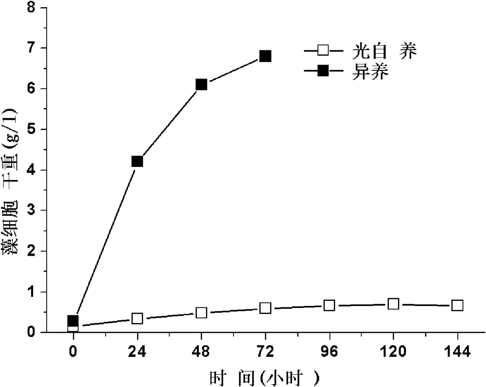 A high-yield microalgae cultivation method