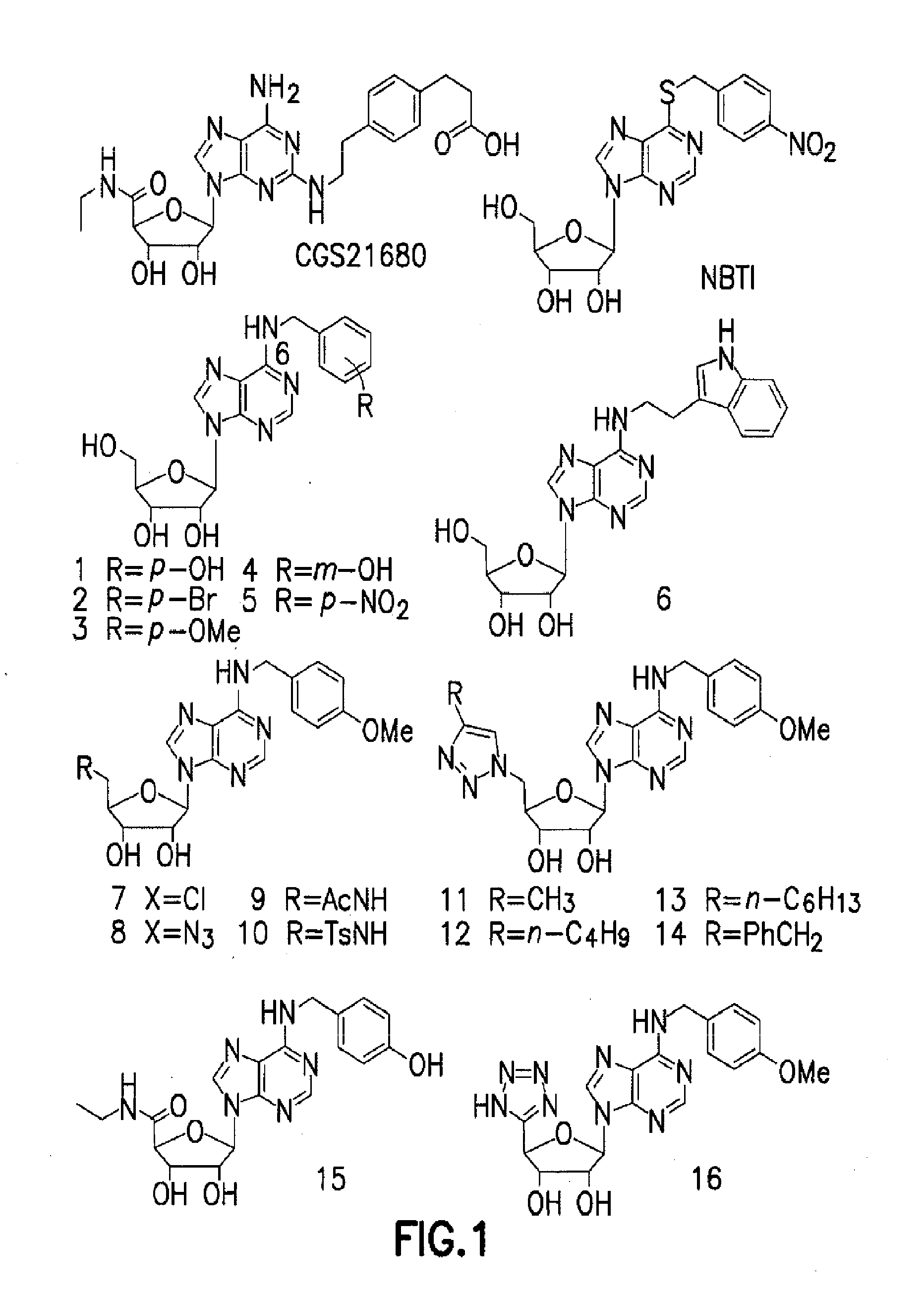 Dual-Action Compounds Targeting Adenosine A2A Receptor and Adenosine Transporter for Prevention and Treatment of Neurodegenerative Diseases